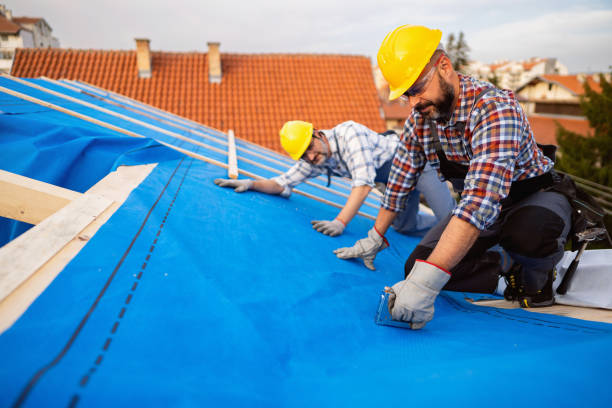 Best Roof Leak Repair  in Vandalia, IL